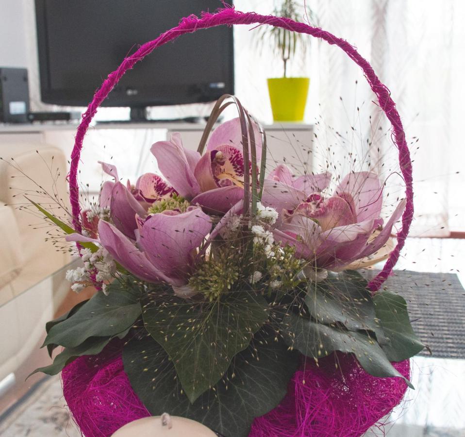Apartment Joy Beograd Ngoại thất bức ảnh
